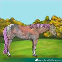 Horse Color:Painted Silver Brown Ice Tobiano 