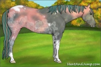 Horse Color:Painted Liver Chestnut Ice Tobiano 