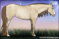 Horse Color:Grullo Pearl Frame Rabicano 