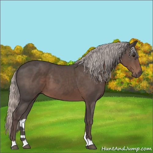Horse Color:Silver Black 