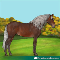 Horse Color:Silver Brown 
