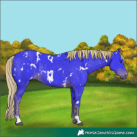 Horse Color:Watercolor White Spotted Liver Chestnut 