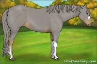 Horse Color:Watercolor Liver Chestnut 