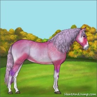 Horse Color:Watercolor Silver Buckskin Onyx 