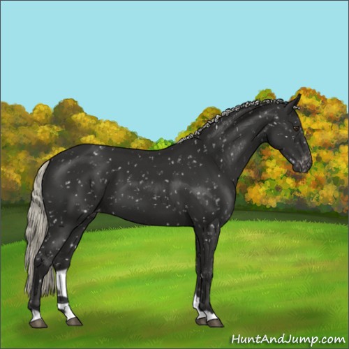 Horse Color:Liver Chestnut Mushroom Snowflake Varnish