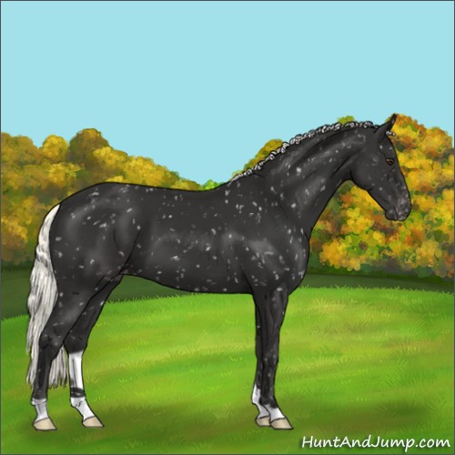 Horse Color:Liver Chestnut Mushroom Snowflake Varnish 