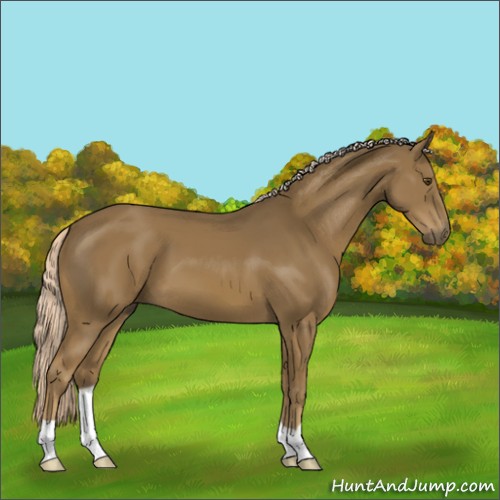 Horse Color:Chocolate Palomino Mushroom 