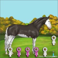 Horse Color:Liver Chestnut Mushroom Splash 