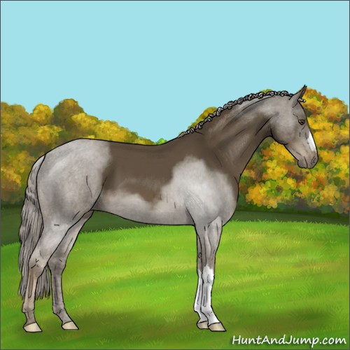 Horse Color:Chocolate Palomino Mushroom