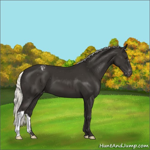 Horse Color:Liver Chestnut Mushroom Varnish
