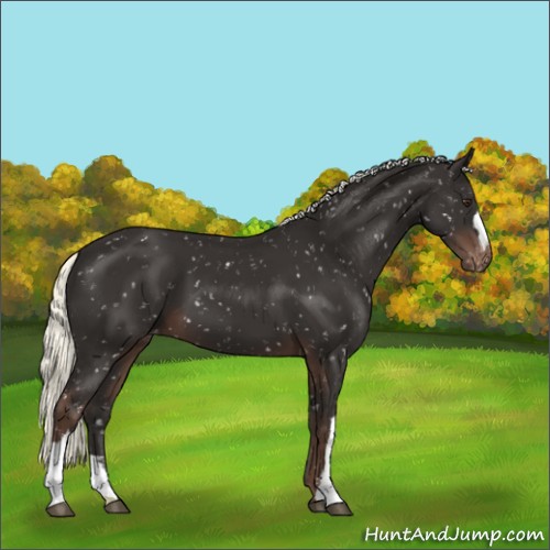 Horse Color:Liver Chestnut Mushroom Snowflake Varnish