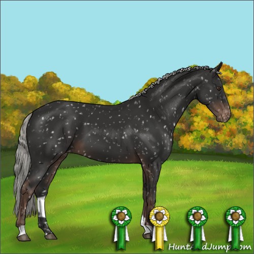 Horse Color:Liver Chestnut Mushroom Appaloosa