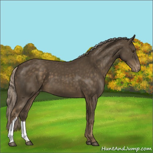 Horse Color:Chocolate Palomino Mushroom Appaloosa