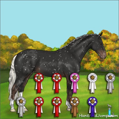 Horse Color:Liver Chestnut Mushroom Appaloosa 