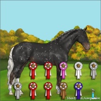 Horse Color:Liver Chestnut Mushroom Snowflake Varnish