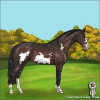 Horse Color:Brown Mushroom Frame Appaloosa 