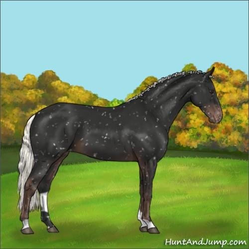Horse Color:Liver Chestnut Mushroom Snowflake Varnish