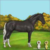 Horse Color:Liver Chestnut Mushroom 