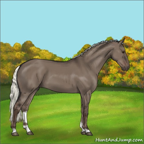 Horse Color:Liver Red Dun Mushroom 