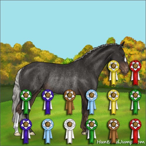 Horse Color:Liver Chestnut Mushroom Varnish Rabicano 