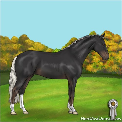 Horse Color:Liver Chestnut Mushroom 