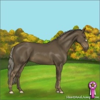 Horse Color:Chocolate Palomino Mushroom 