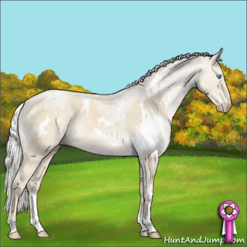 Horse Color:White Spotted Silver Perlino Dun Mushroom Brindle 