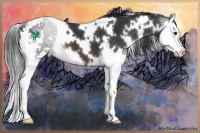 Horse Color:White Spotted Brown Splash 
