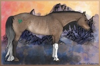 Horse Color:Brown Dun Rabicano 
