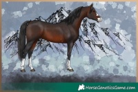Horse Color:Brown 
