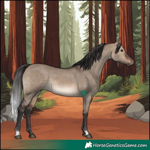 Horse Color:Brown Dun
