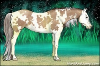 Horse Color:White Spotted Black Pearl Splash Appaloosa 