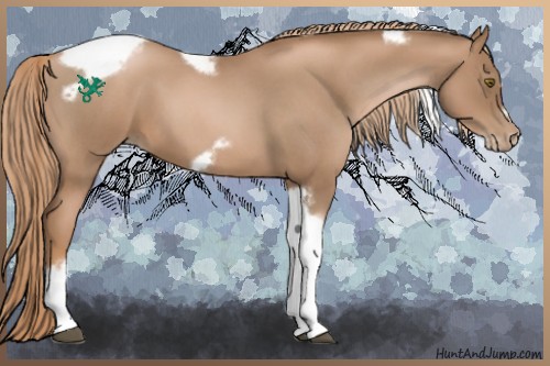 Horse Color:Liver Red Roan Pearl Tobiano Frame 