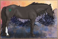 Horse Color:Smoky Black 