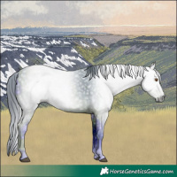 Horse Color:ERROR: UNKNOWN ANOMALY