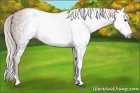 Horse Color:Gray Silver Black Pearl Tobiano