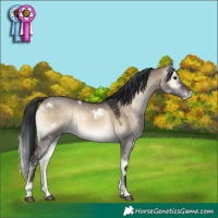 Horse Color:White Spotted Brown Onyx 