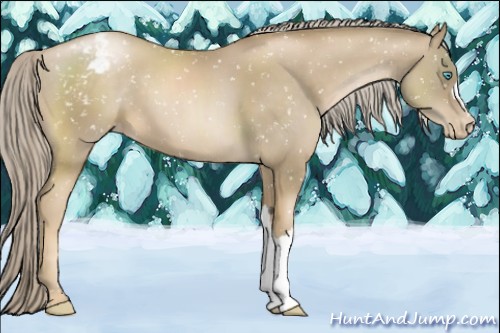 Horse Color:Chocolate Palomino Pearl Snowcap 