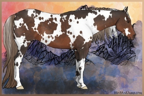 Horse Color:White Spotted Liver Chestnut 