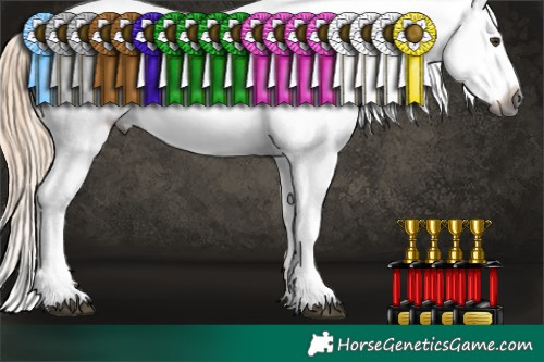 Horse Color:Gray White Spotted Chocolate Palomino Dun Sabino Appaloosa 