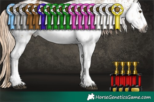 Horse Color:Gray White Spotted Chocolate Palomino Dun Sabino Blanket 