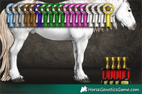 Horse Color:Gray White Spotted Chocolate Palomino Dun Sabino Blanket