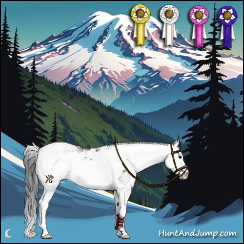 Horse Color:Black Sabino Splash Rabicano 