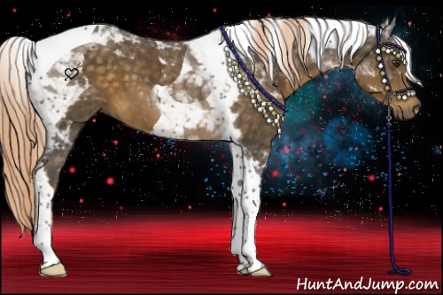 Horse Color:Chocolate Palomino Tobiano 