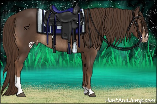 Horse Color:Liver Chestnut Sabino Appaloosa Rabicano 