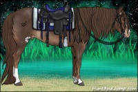 Horse Color:Liver Chestnut Sabino Appaloosa Rabicano 