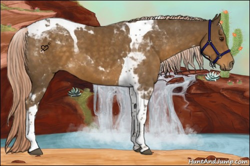 Horse Color:Chocolate Palomino Tobiano 