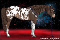 Horse Color:Liver Chestnut Tobiano Near Leopard 