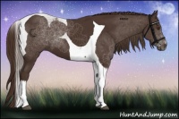 Horse Color:Liver Chestnut Tobiano 