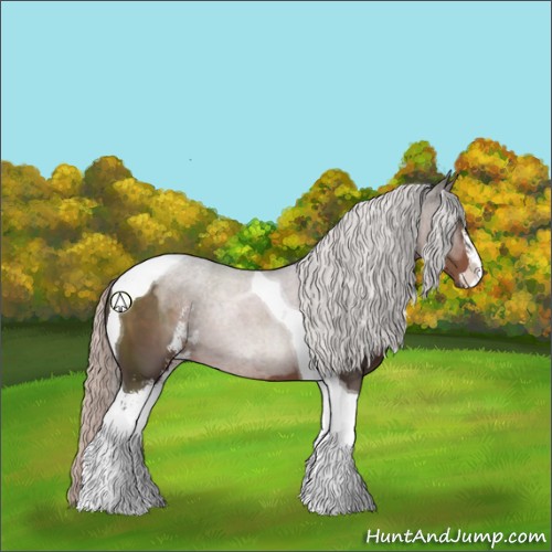 Horse Color:Silver Black Sabino Tobiano